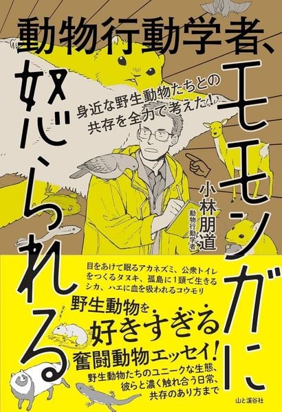 身近な野生動物たちとの共存を全力で考えた! 動物行動学者、モモンガに怒られる