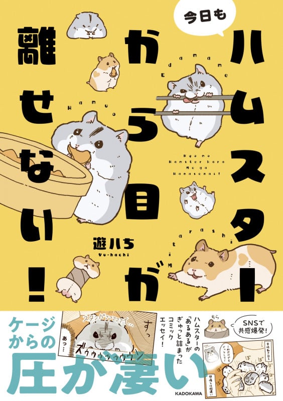 今日もハムスターから目が離せない!