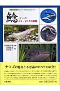 鯰 イメージとその素顔