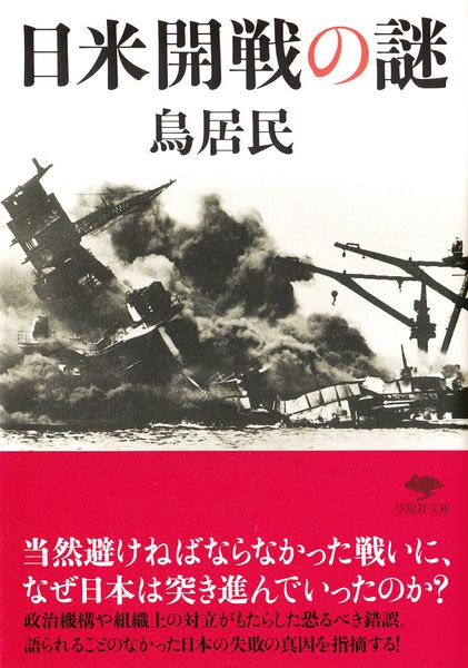 文庫 日米開戦の謎 (草思社文庫)