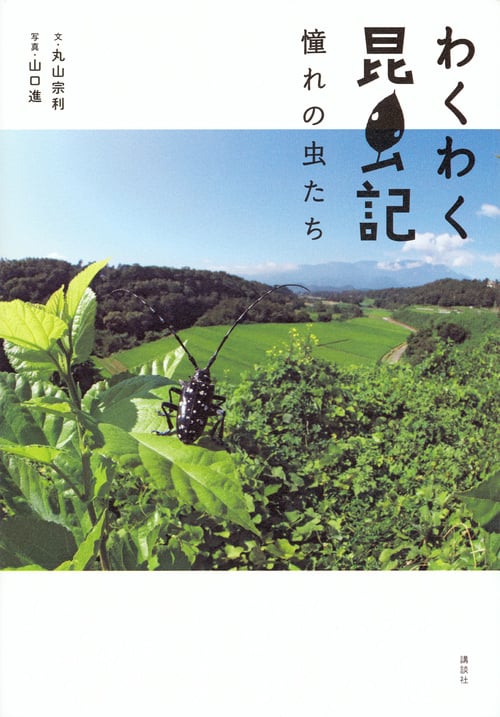 わくわく昆虫記 憧れの虫たち