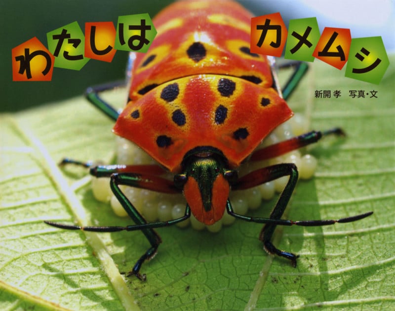 わたしはカメムシ (ふしぎいっぱい写真絵本)