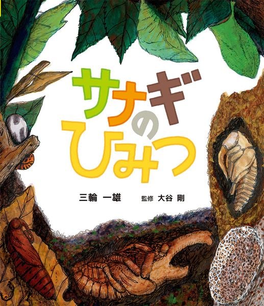 サナギのひみつ (ポプラサイエンスランド 7)