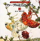 ファーブル昆虫記の虫たち (3) (Kumada Chikabo’s World)