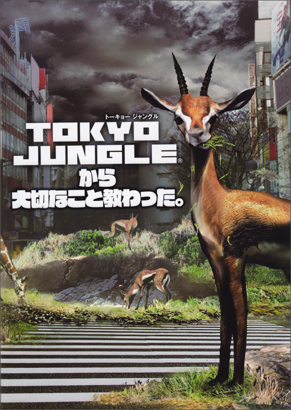 TOKYO JUNGLEから大切なこと教わった。