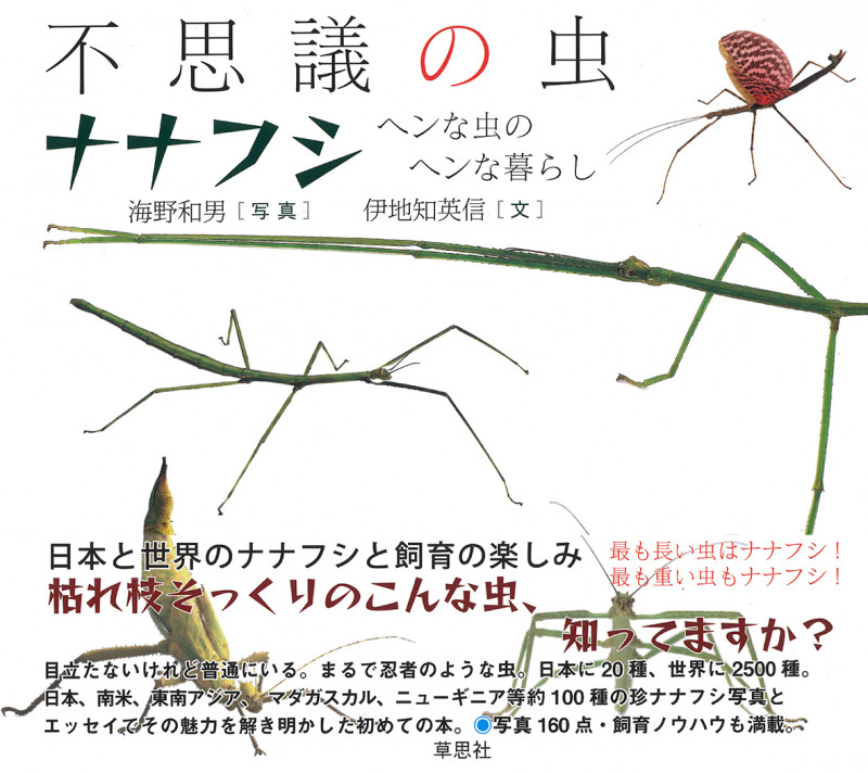 不思議の虫ナナフシ ヘンな虫のヘンな暮らし