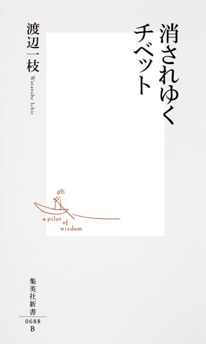 消されゆくチベット (集英社新書)