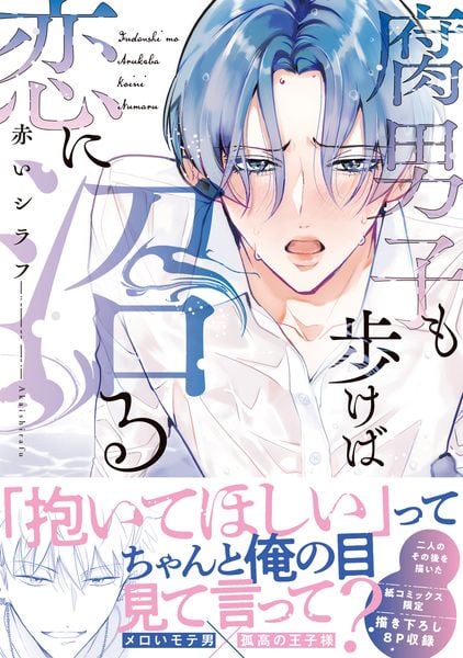 腐男子も歩けば恋に沼る (B's-LOVEY COMICS)