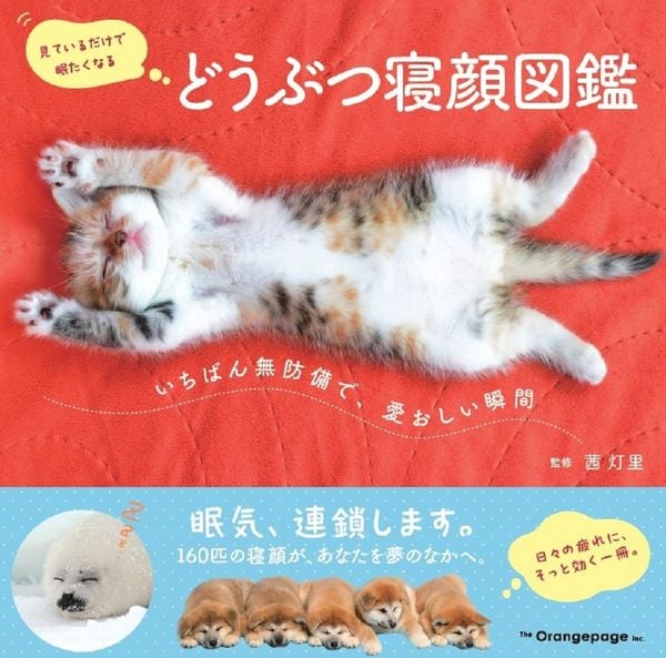 どうぶつ寝顔図鑑 いちばん無防備で、愛おしい瞬間