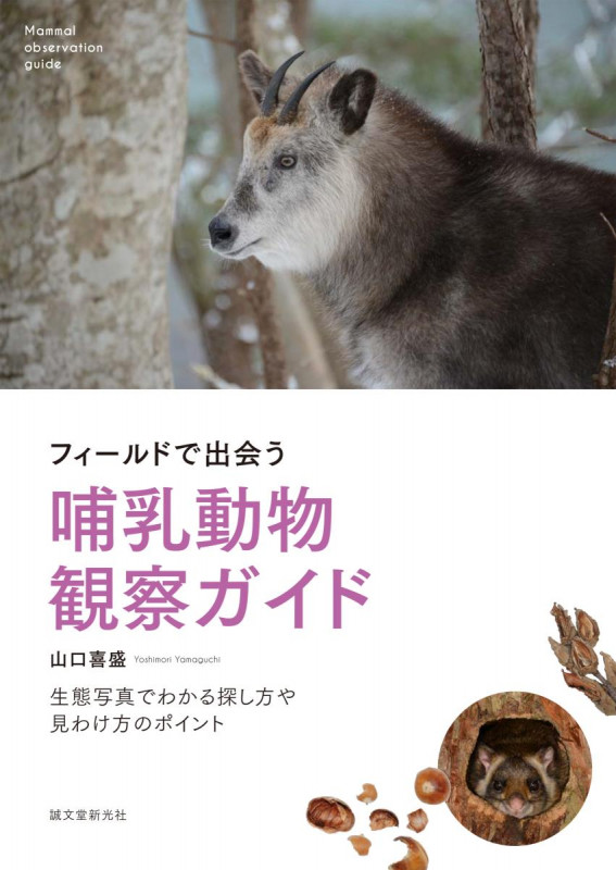 フィールドで出会う哺乳動物観察ガイド 生態写真でわかる探し方や見わけ方のポイントの詳細を見る