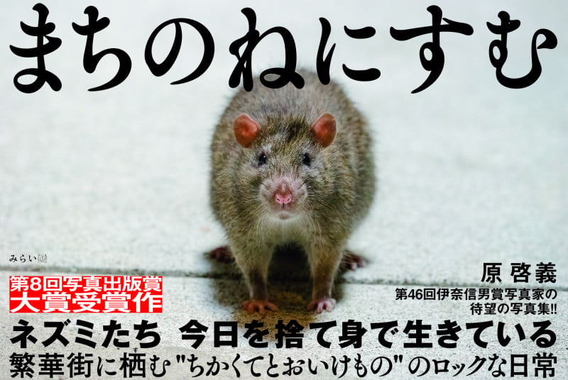 まちのねにすむの詳細を見る