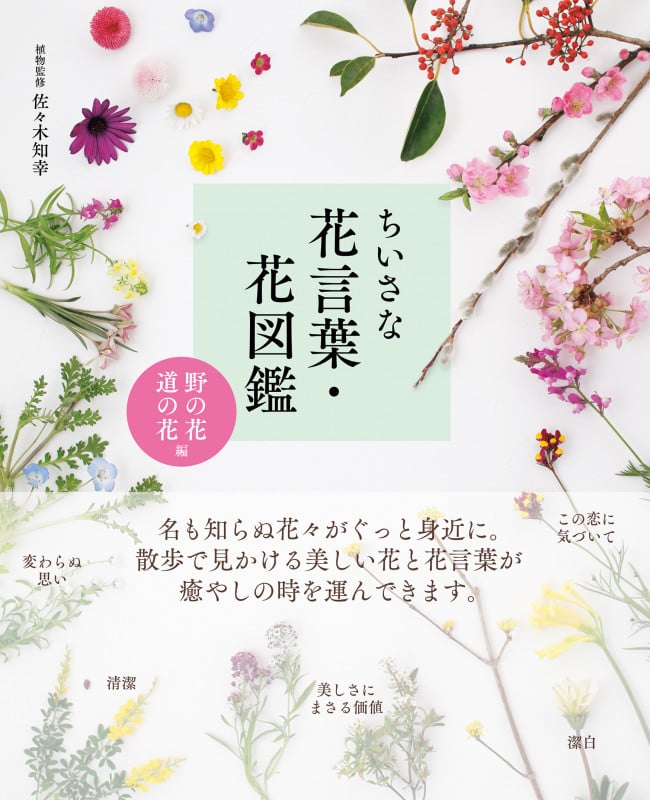 ちいさな花言葉・花図鑑 <野の花・道の花編>の詳細を見る