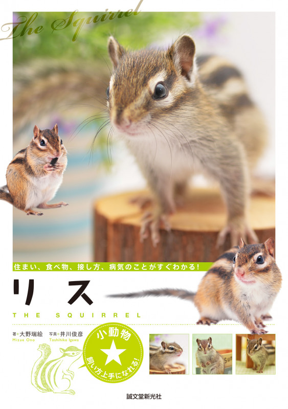 リス 住まい、食べ物、接し方、病気のことがすぐわかる!
