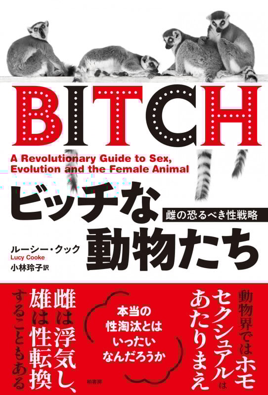 ビッチな動物たち 雌の恐るべき性戦略