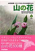 山の花 (学研自然発見ガイドシリーズ)