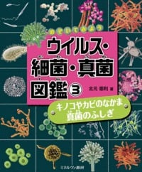 のぞいてみよう ウイルス・細菌・真菌図鑑 キノコやカビのなかま 真菌のふしぎ (3)
