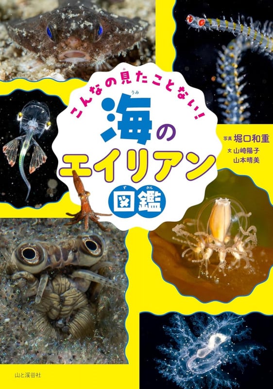 こんなの見たことない!海のエイリアン図鑑