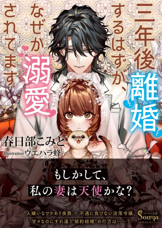 三年後離婚するはずが、なぜか溺愛されてます (ソーニャ文庫)