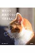 猫だって鼻提灯くらいできるもん。