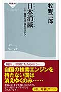 日本消滅 IT貧困大国・再生の手だて (祥伝社新書)