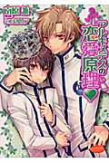 アルキメデスの恋愛原理 (もえぎ文庫ピュアリー)