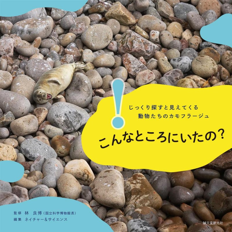 こんなところにいたの? じっくり探すと見えてくる動物たちのカモフラージュ