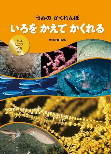 いろをかえてかくれる タコ・ヒラメ・イカ ほか (うみのかくれんぼ)