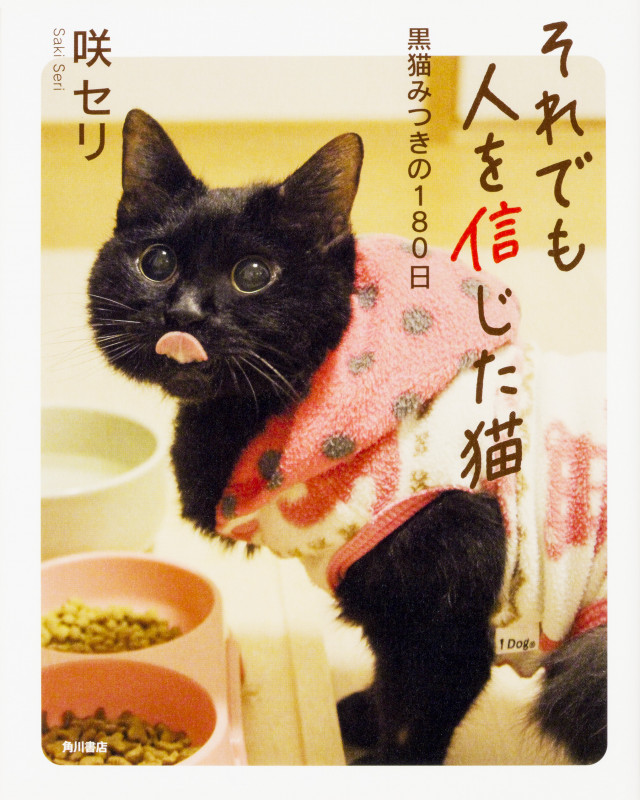 それでも人を信じた猫 黒猫みつきの180日 
