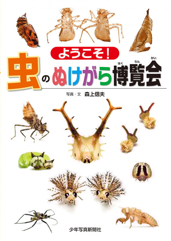 ようこそ!虫のぬけがら博覧会 (少年写真絵本)