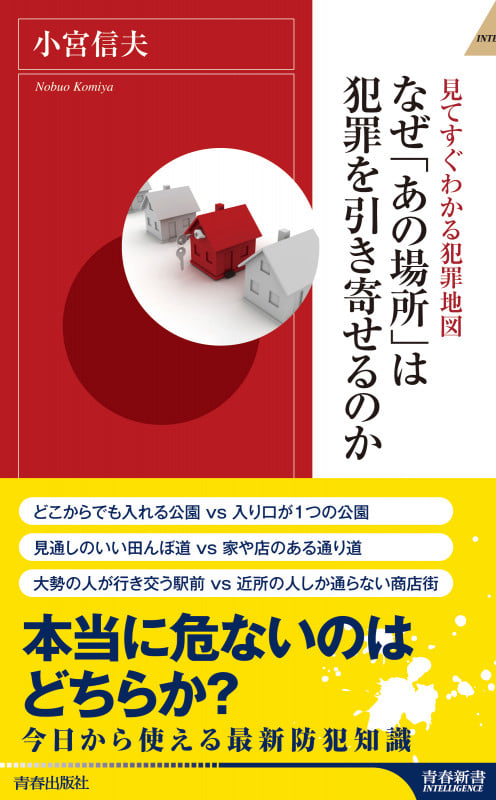 見てすぐわかる犯罪地図 なぜ「あの場所」は犯罪を引き寄せるのか (青春新書インテリジェンス)