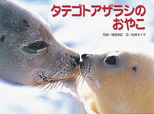 タテゴトアザラシのおやこ (親と子の写真絵本)