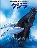 クジラ (動物イラスト生態図鑑 10)