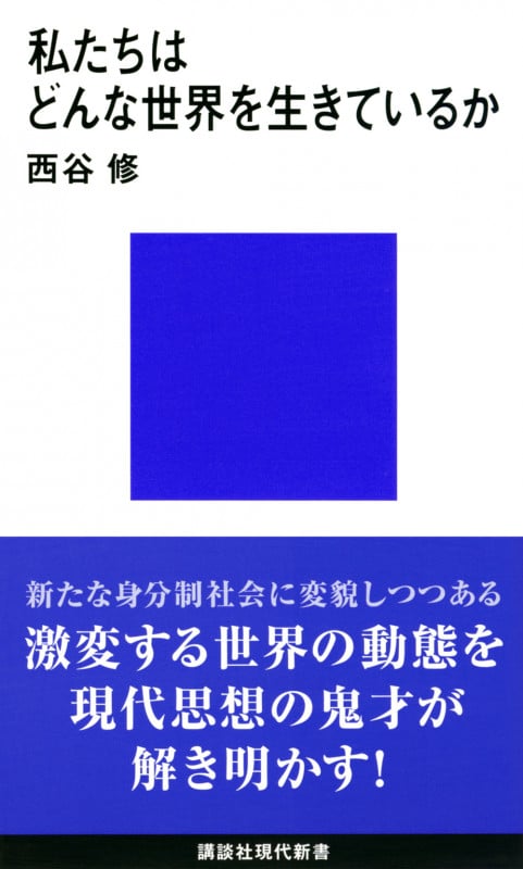 私たちはどんな世界を生きているか (講談社現代新書)