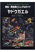 爬虫・両生類ビジュアルガイド ヤドクガエル 世界のヤドクガエルの美しい色彩・生態・飼育