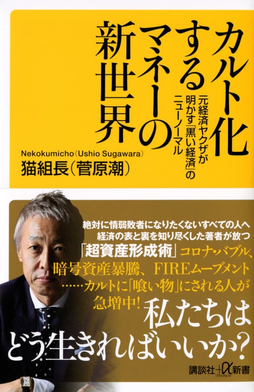 カルト化するマネーの新世界 元経済ヤクザが明かす「黒い経済」のニューノーマル (講談社+α新書)の詳細を見る