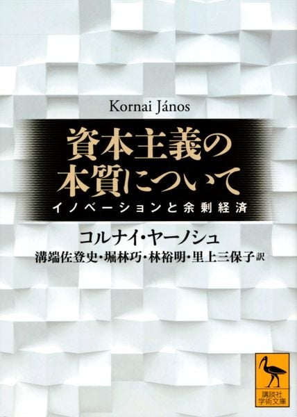 資本主義の本質について イノベーションと余剰経済 (講談社学術文庫)