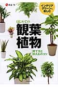 インテリアグリーンを楽しむ はじめての観葉植物 育て方と手入れのコツ