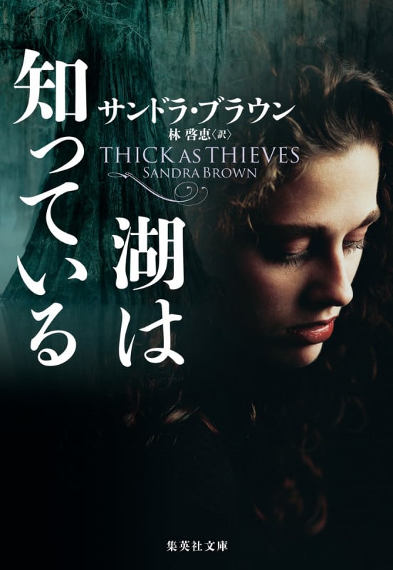湖は知っている (集英社文庫)