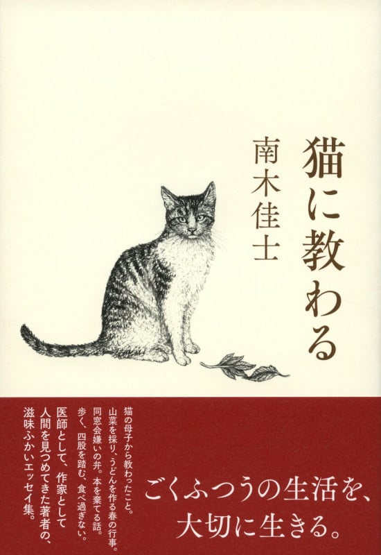 猫に教わる