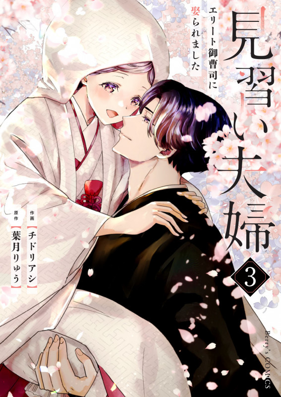 見習い夫婦 エリート御曹司に娶られました (3) (ベリーズC)