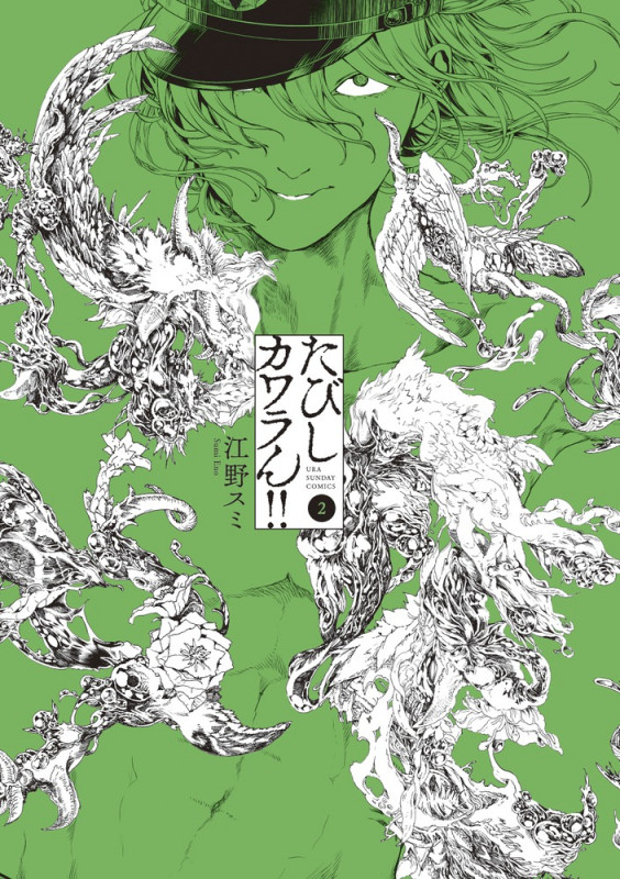 たびしカワラん!! (2) (裏少年サンデーC)