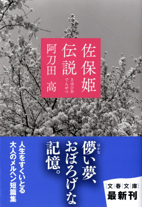 佐保姫伝説 (文春文庫)の詳細を見る