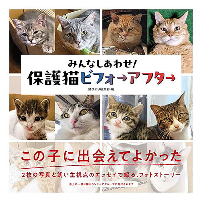 みんなしあわせ! 保護猫ビフォーアフター