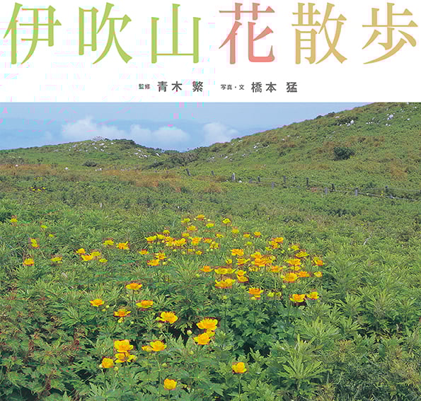 伊吹山花散歩