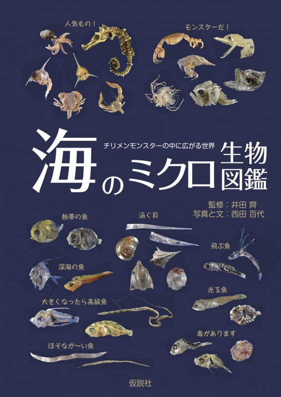 海のミクロ生物図鑑 チリメンモンスターの中に広がる世界
