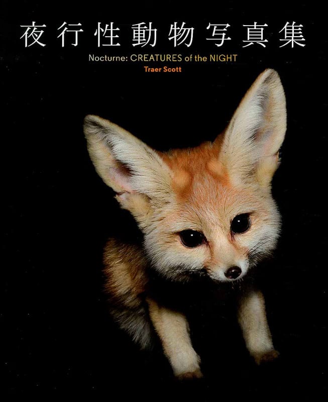 夜行性動物写真集