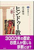 ヒンドゥー教 インドという“謎” (講談社選書メチエ 299)