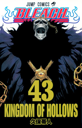 BLEACH―ブリーチ― 43 (ジャンプコミックス)