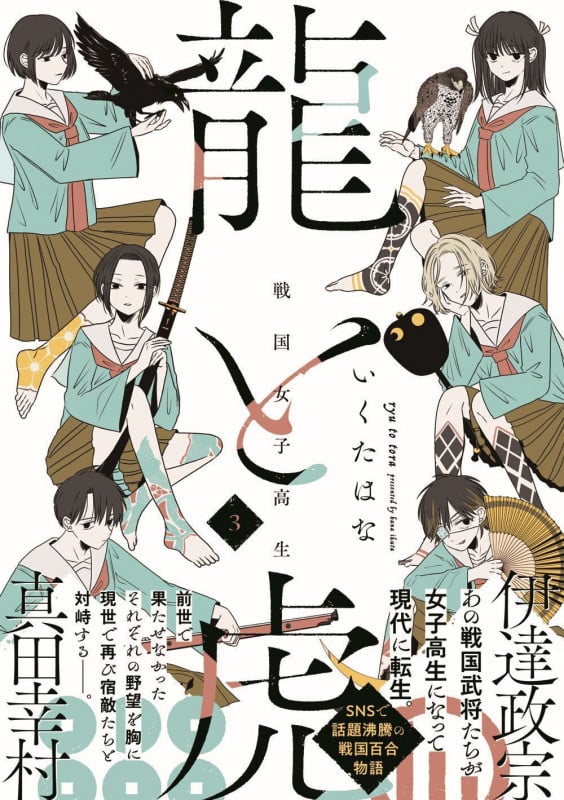 戦国女子高生龍と虎 (3)