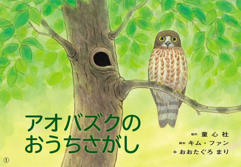 紙芝居 アオバズクのおうちさがし (2020年度定期紙芝居 ともだちだいすき 4)